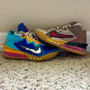 Tune Squad Nike Lebron Wile E v Road Runner